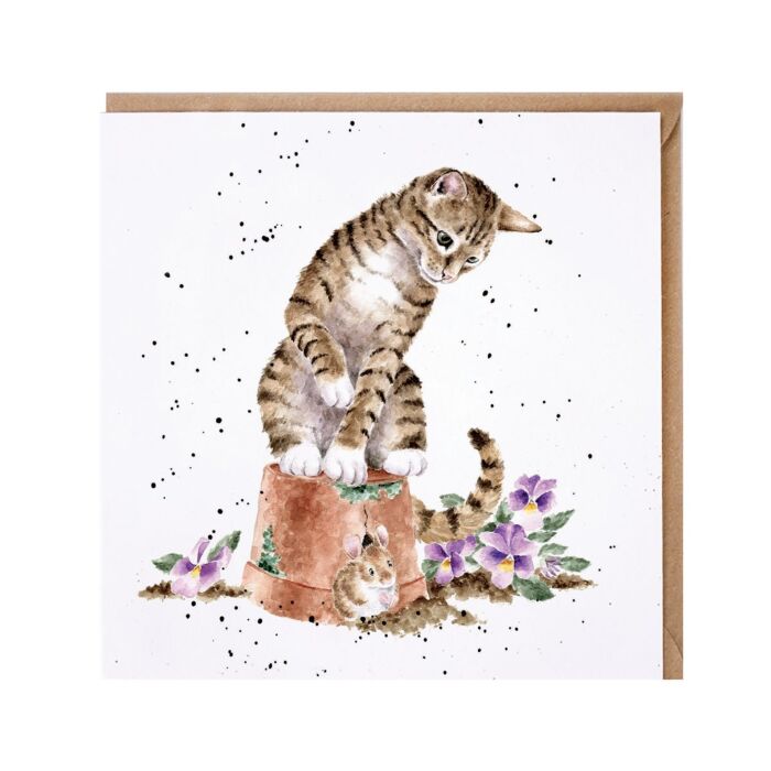 Wrendale Designs 'Hide and Squeak' Cat Card